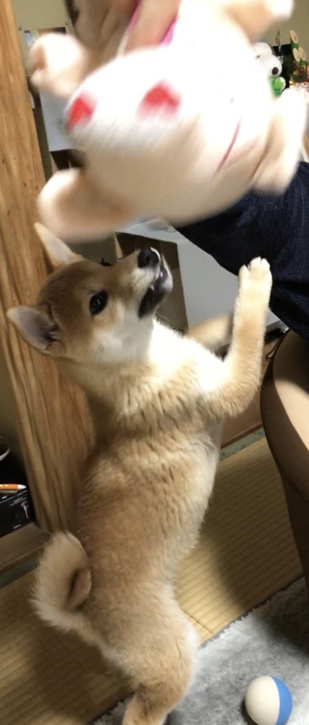 f:id:uretanonatsumu:20180323090704j:plain f:id:uretanonatsumu:20180323090704j:plain
