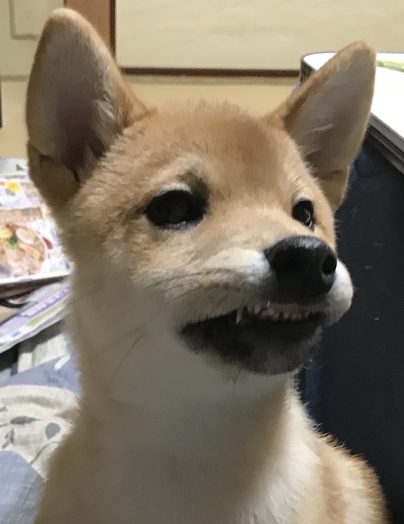 f:id:uretanonatsumu:20180427095934j:plain f:id:uretanonatsumu:20180427095934j:plain