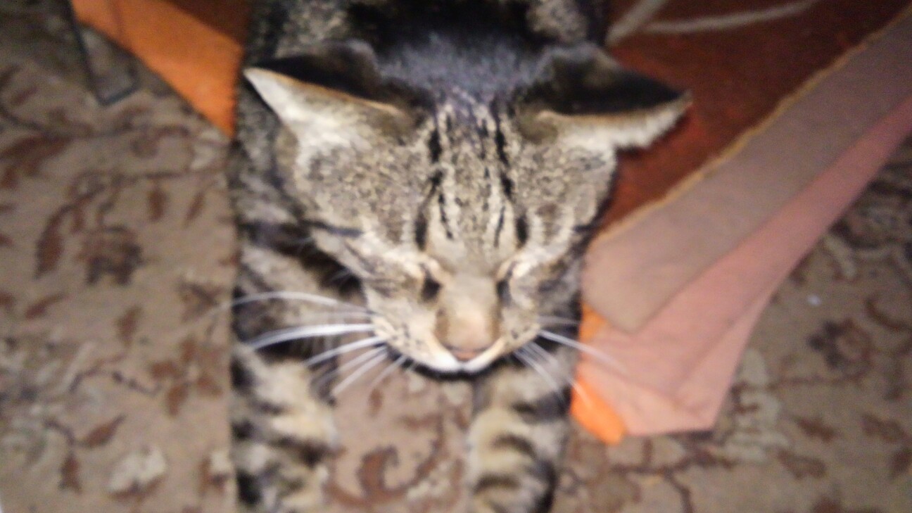 f:id:urftabibitosan:20190112140852j:plain