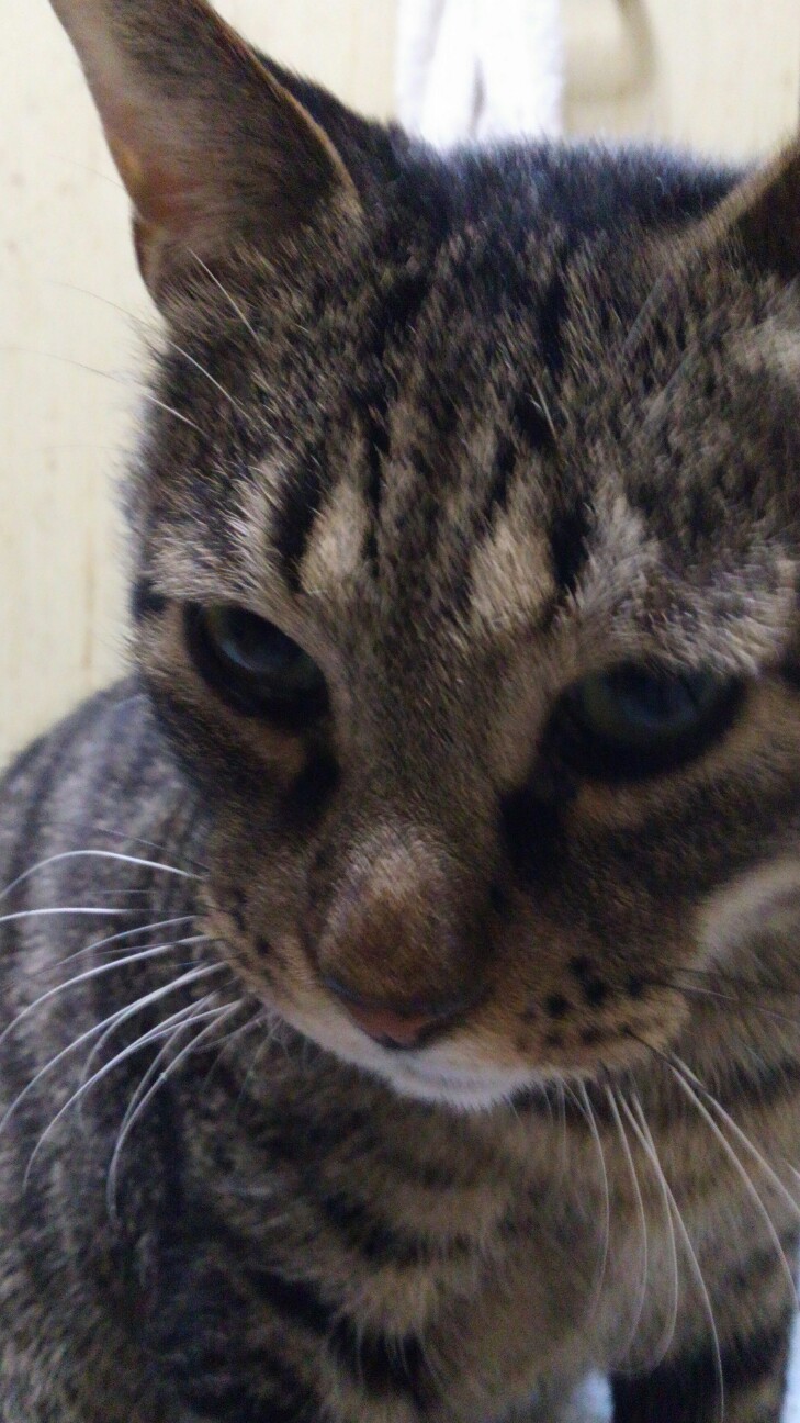 f:id:urftabibitosan:20190112140920j:plain