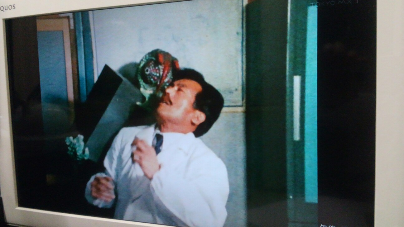 f:id:urftabibitosan:20191116215647j:plain f:id:urftabibitosan:20191116215647j:plain