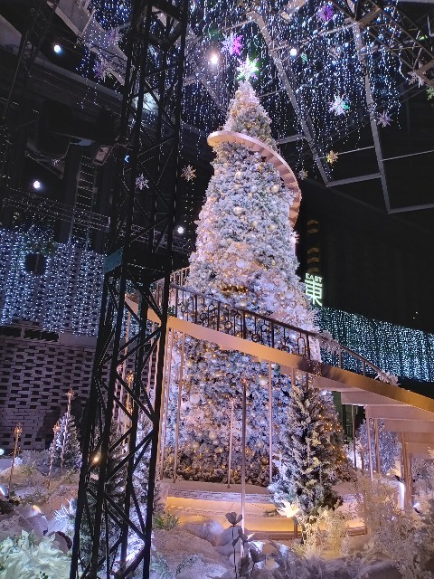 f:id:urftabibitosan:20251216004123j:image