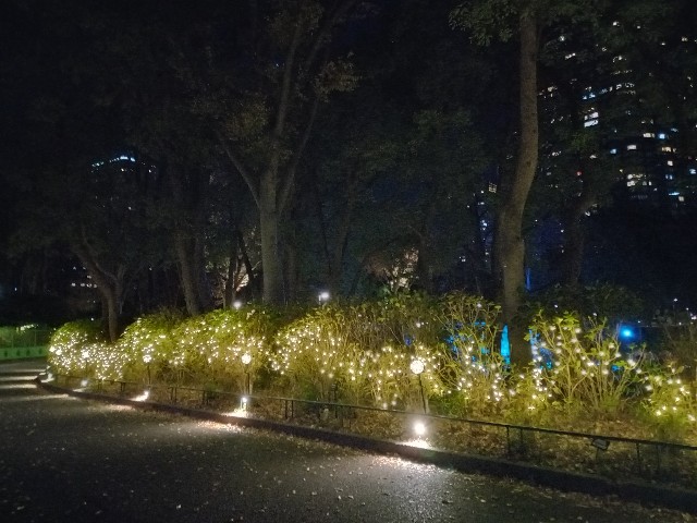 f:id:urftabibitosan:20251216004430j:image