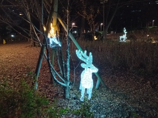 f:id:urftabibitosan:20251216004458j:image