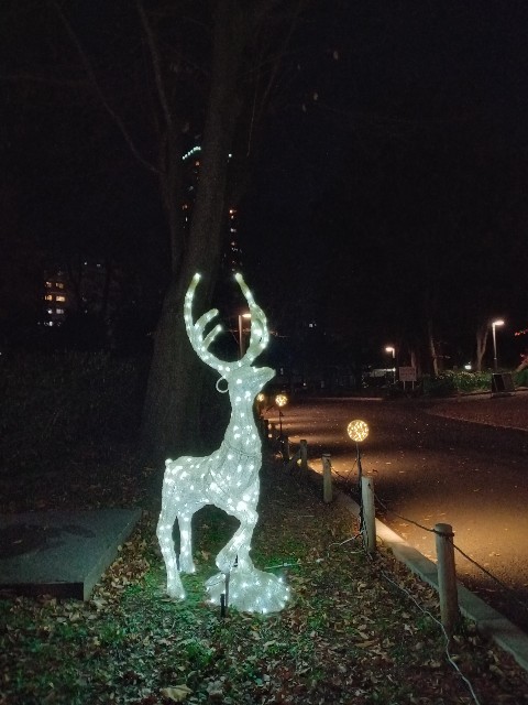 f:id:urftabibitosan:20251216004545j:image