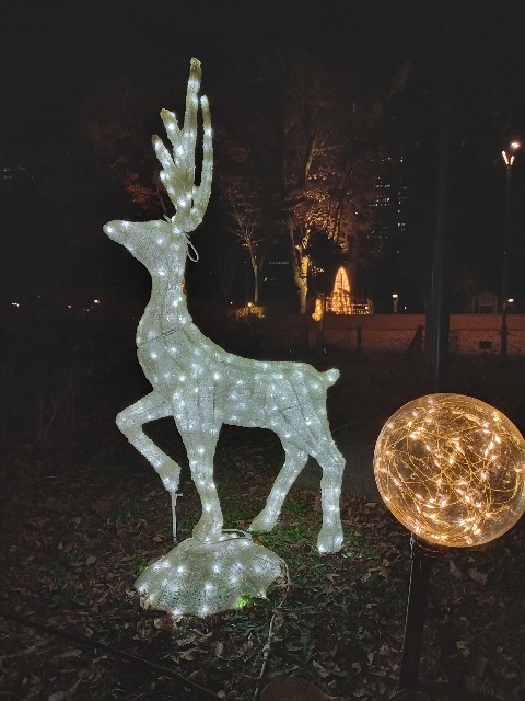 f:id:urftabibitosan:20251216004558j:image