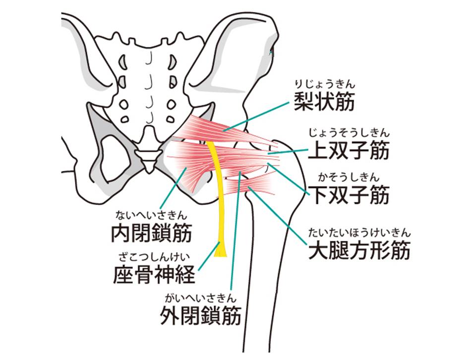 f:id:uri-blog:20200623233547j:plain f:id:uri-blog:20200623233547j:plain