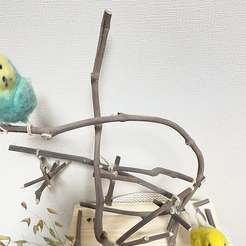 鳥のためのアスレチックと止まり木 - living with birds