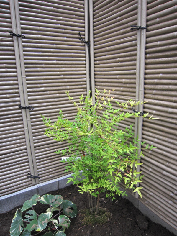 f:id:uribo0606:20110802095704j:image:left:w220 f:id:uribo0606:20110802095704j:image:left:w220