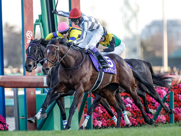【海外限定】 2023年有馬記念｜武豊騎乗の2番人気ドウデュースが制して コレクション