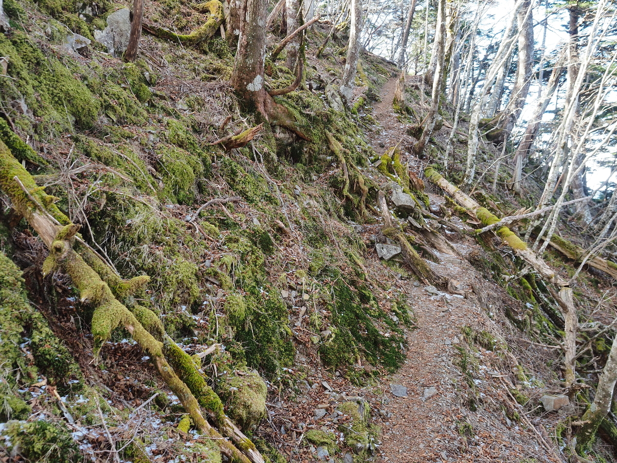 モンベルの冬用サイクルパンツ サイクルトレーナー パンツ レビュー