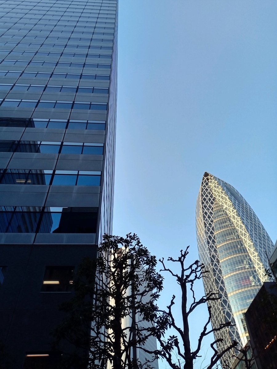 f:id:uribouwataru:20210318184455j:plain