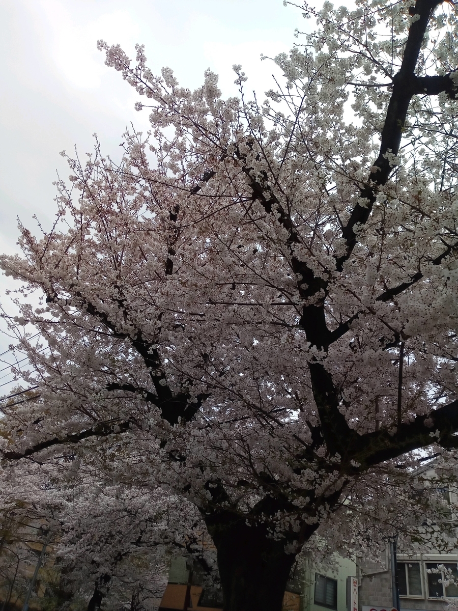 f:id:uribouwataru:20210328154604j:plain