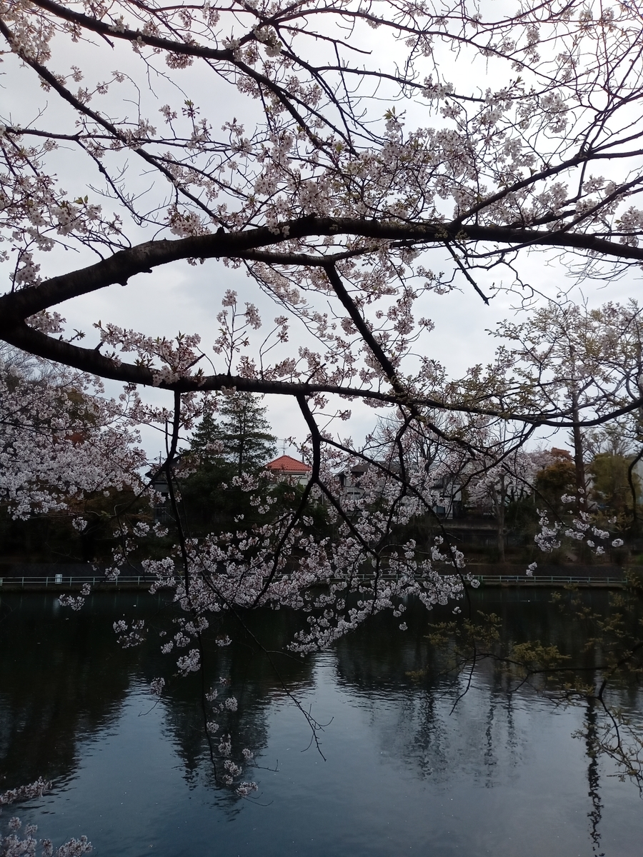 f:id:uribouwataru:20210328154829j:plain