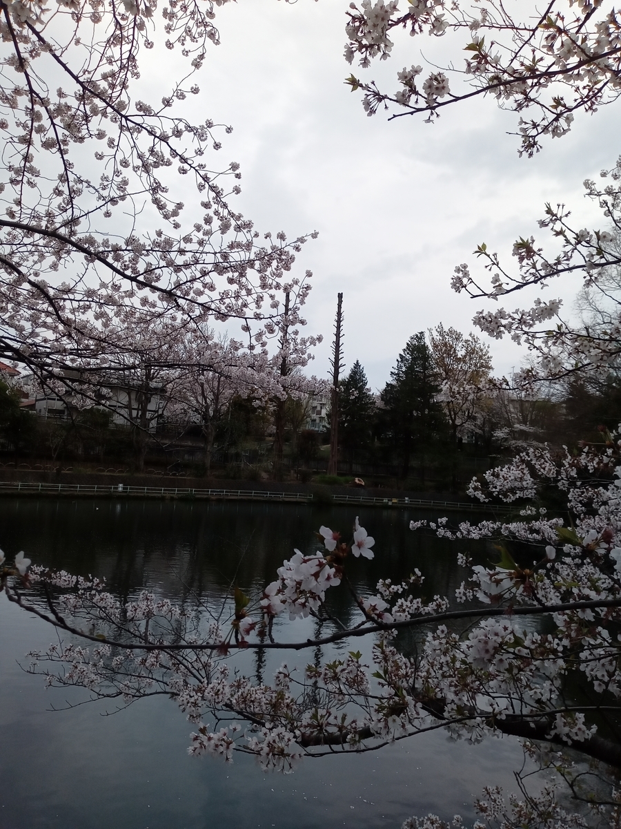 f:id:uribouwataru:20210328155311j:plain