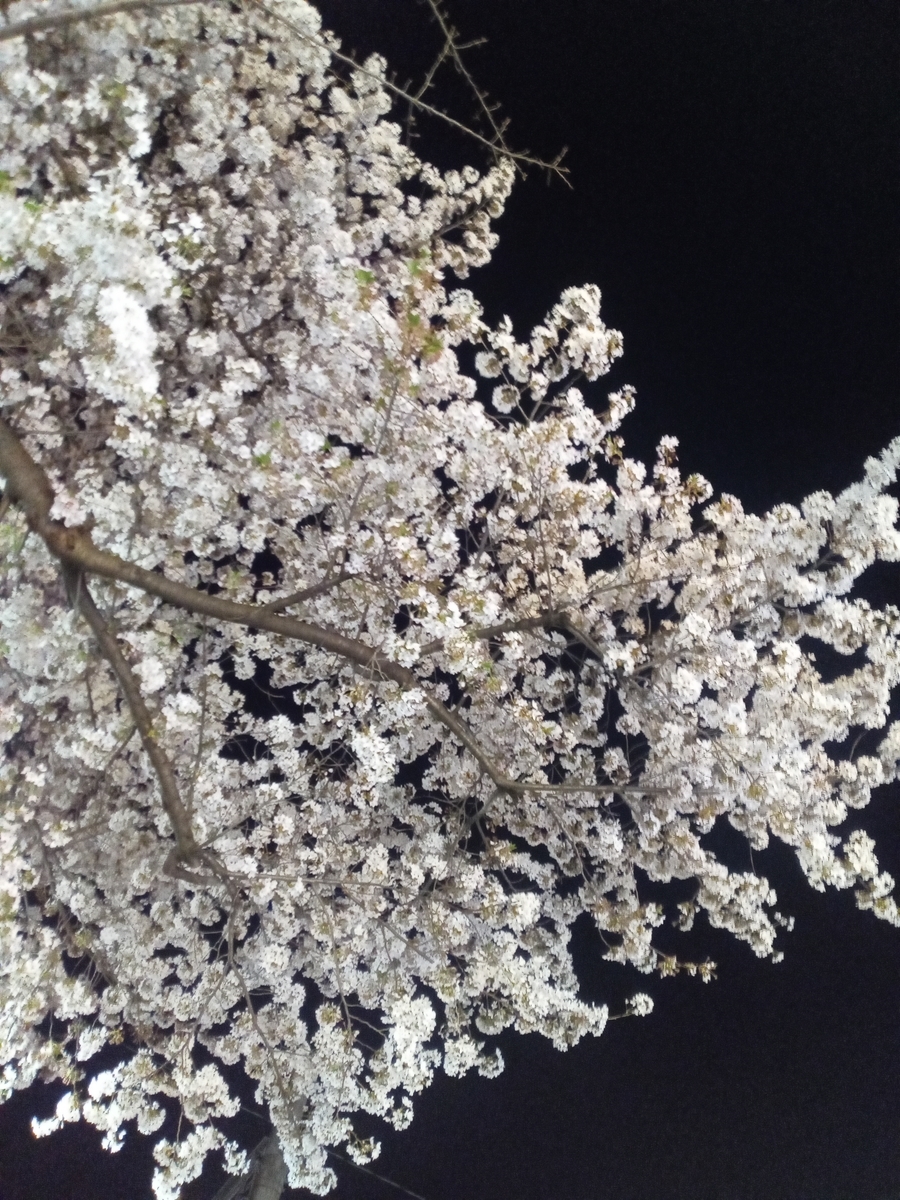 f:id:uribouwataru:20210330062208j:plain