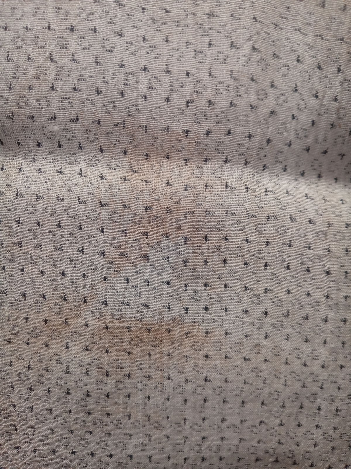 f:id:uribouwataru:20210501060957j:plain