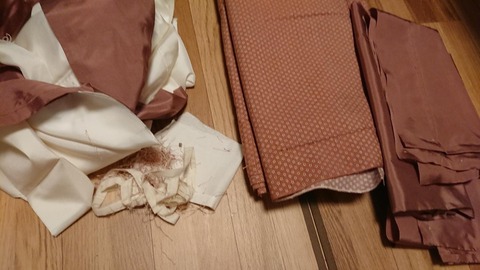 f:id:uribouwataru:20210502143313j:plain