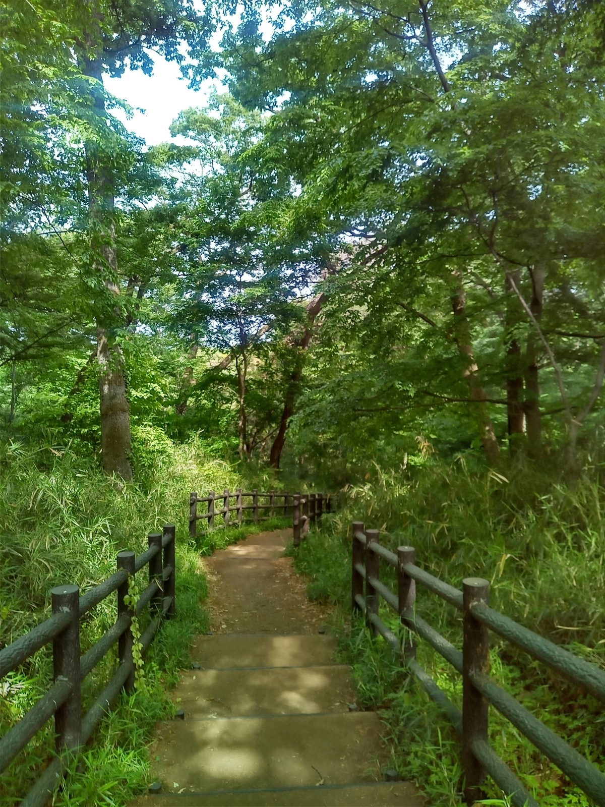f:id:uribouwataru:20210504161102j:plain