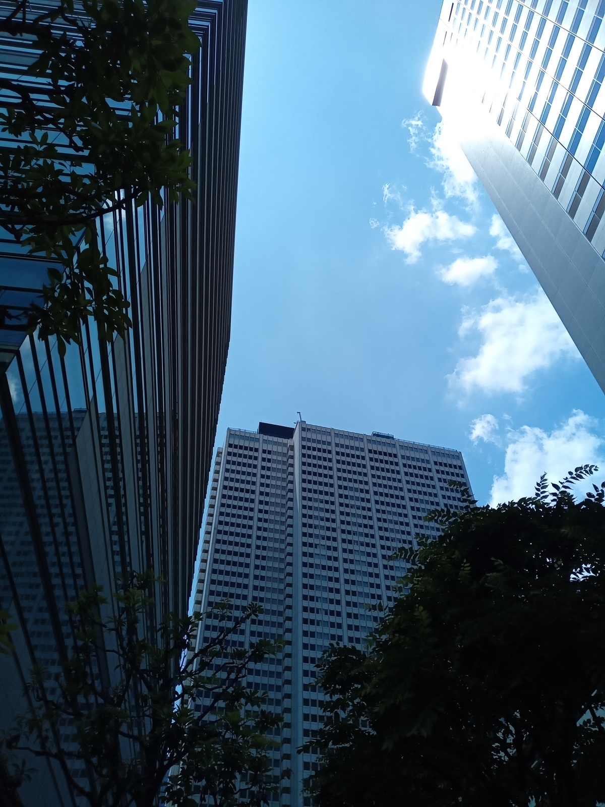 f:id:uribouwataru:20210604013843j:plain