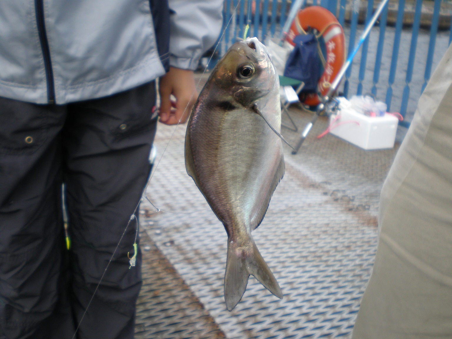 f:id:uribouwataru:20210919103117j:plain