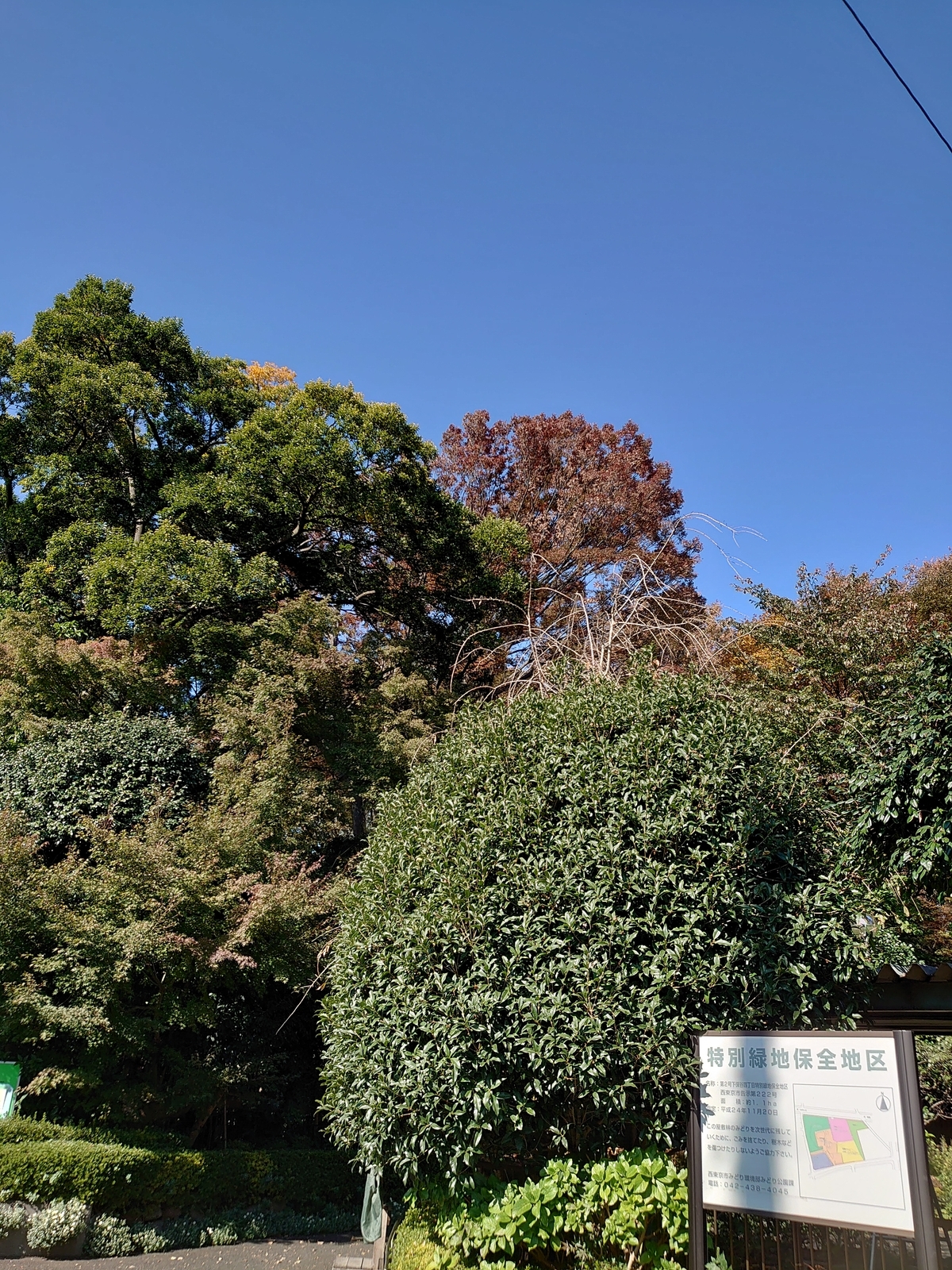 f:id:uribouwataru:20211106170141j:plain