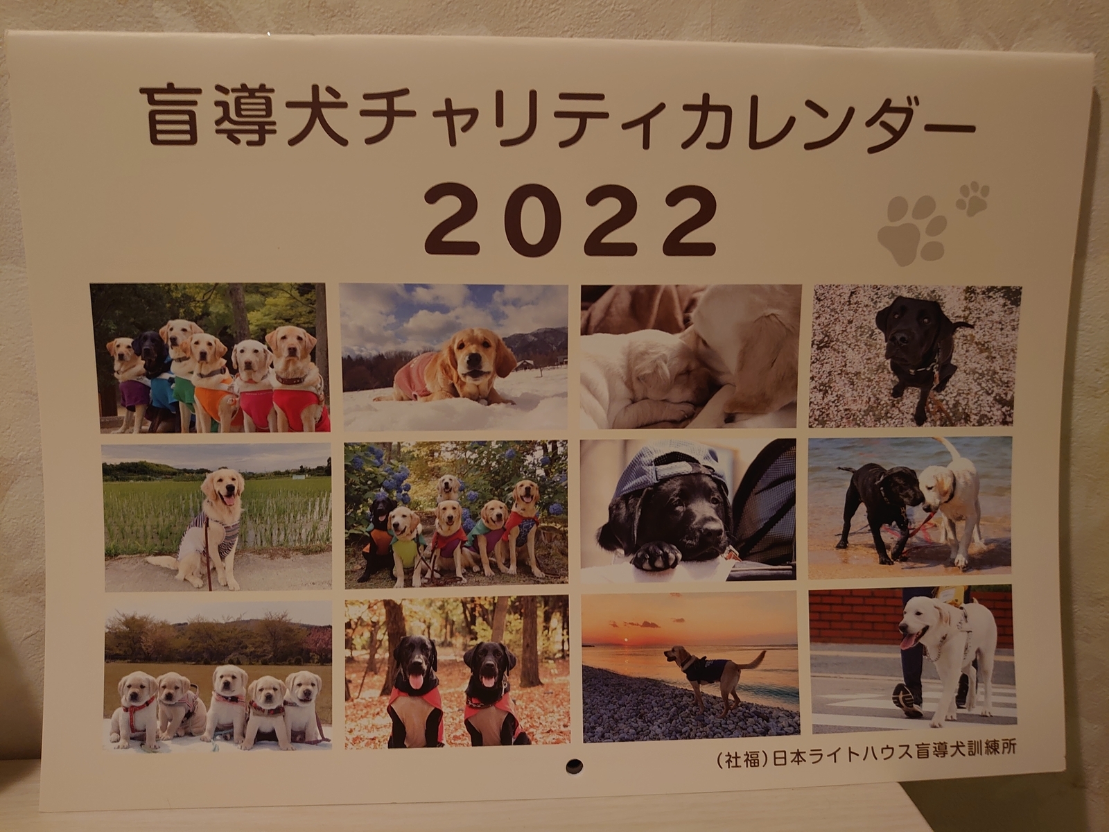 f:id:uribouwataru:20211111214211j:plain