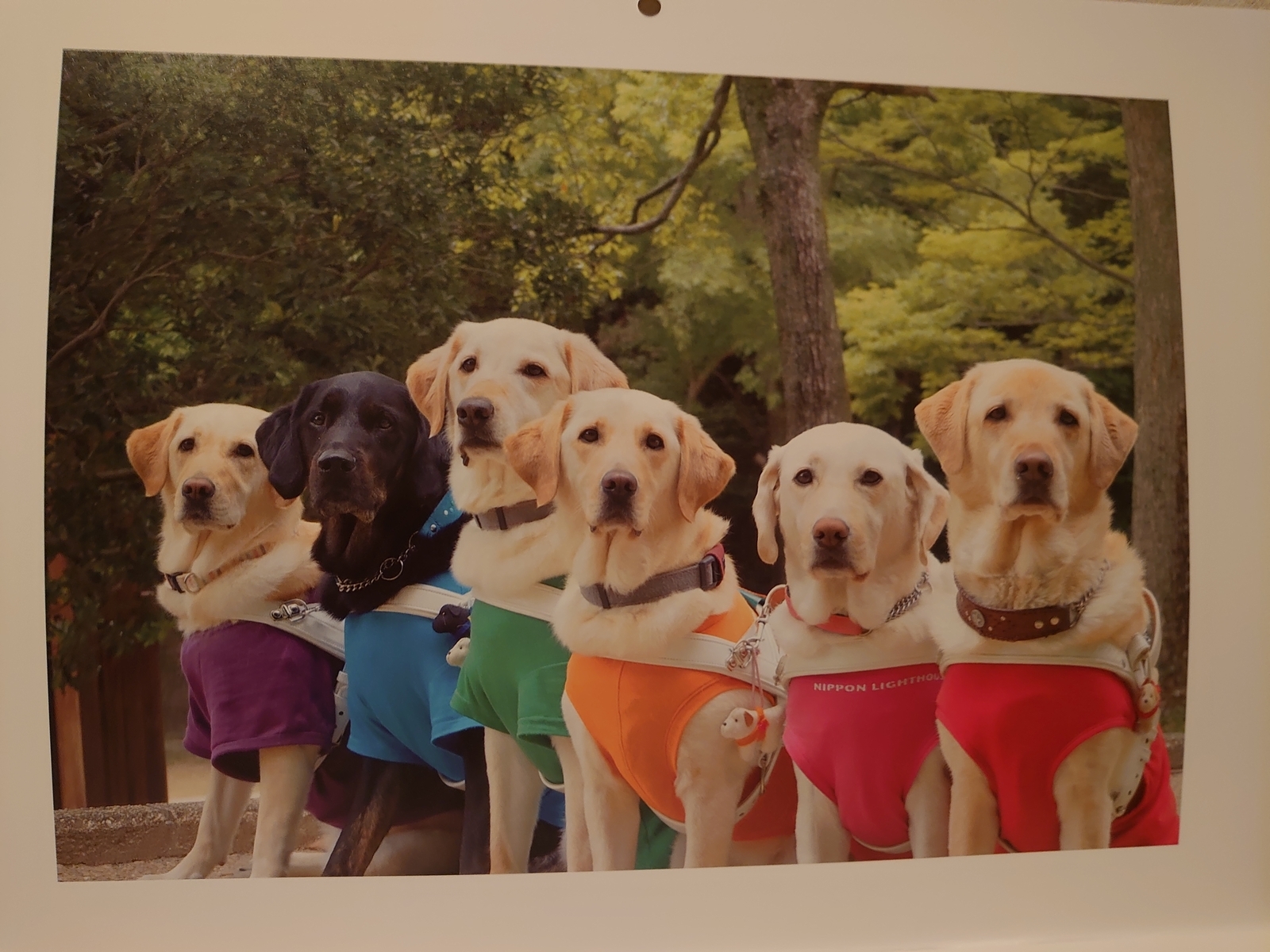 f:id:uribouwataru:20211111214221j:plain