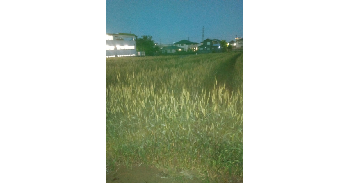 f:id:uribouwataru:20220115021203p:plain