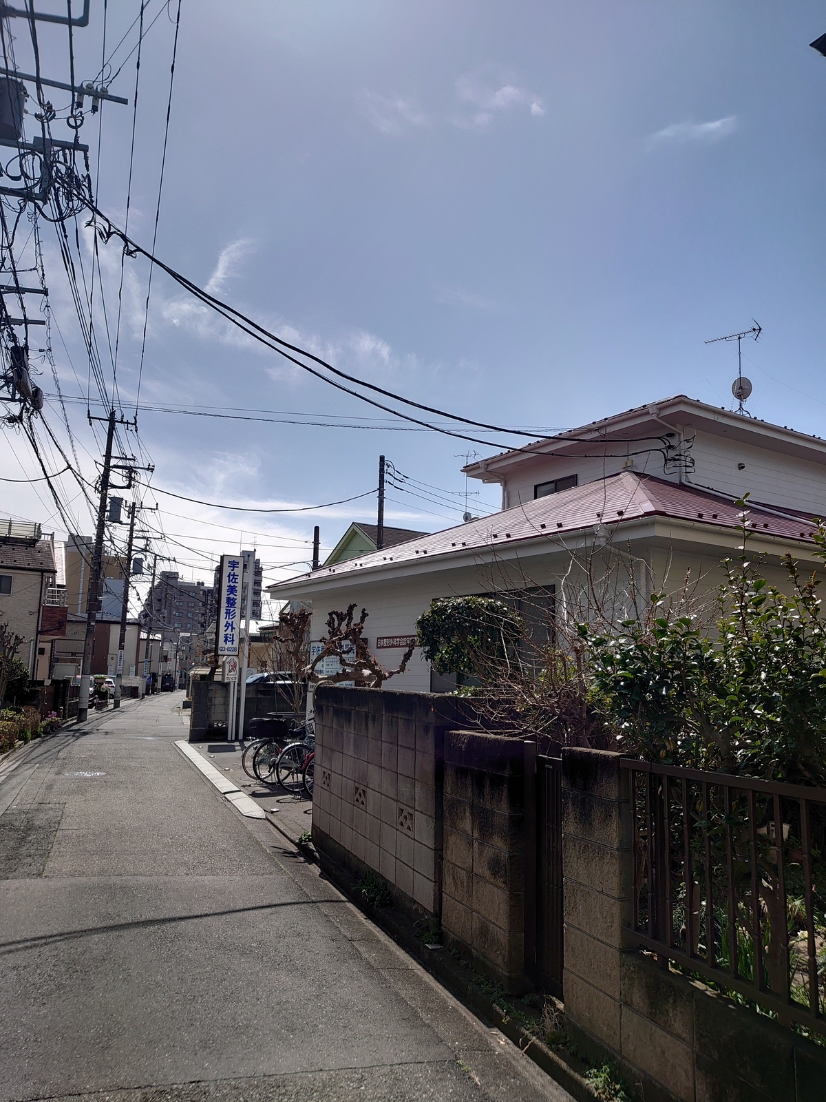 f:id:uribouwataru:20220319123439j:plain