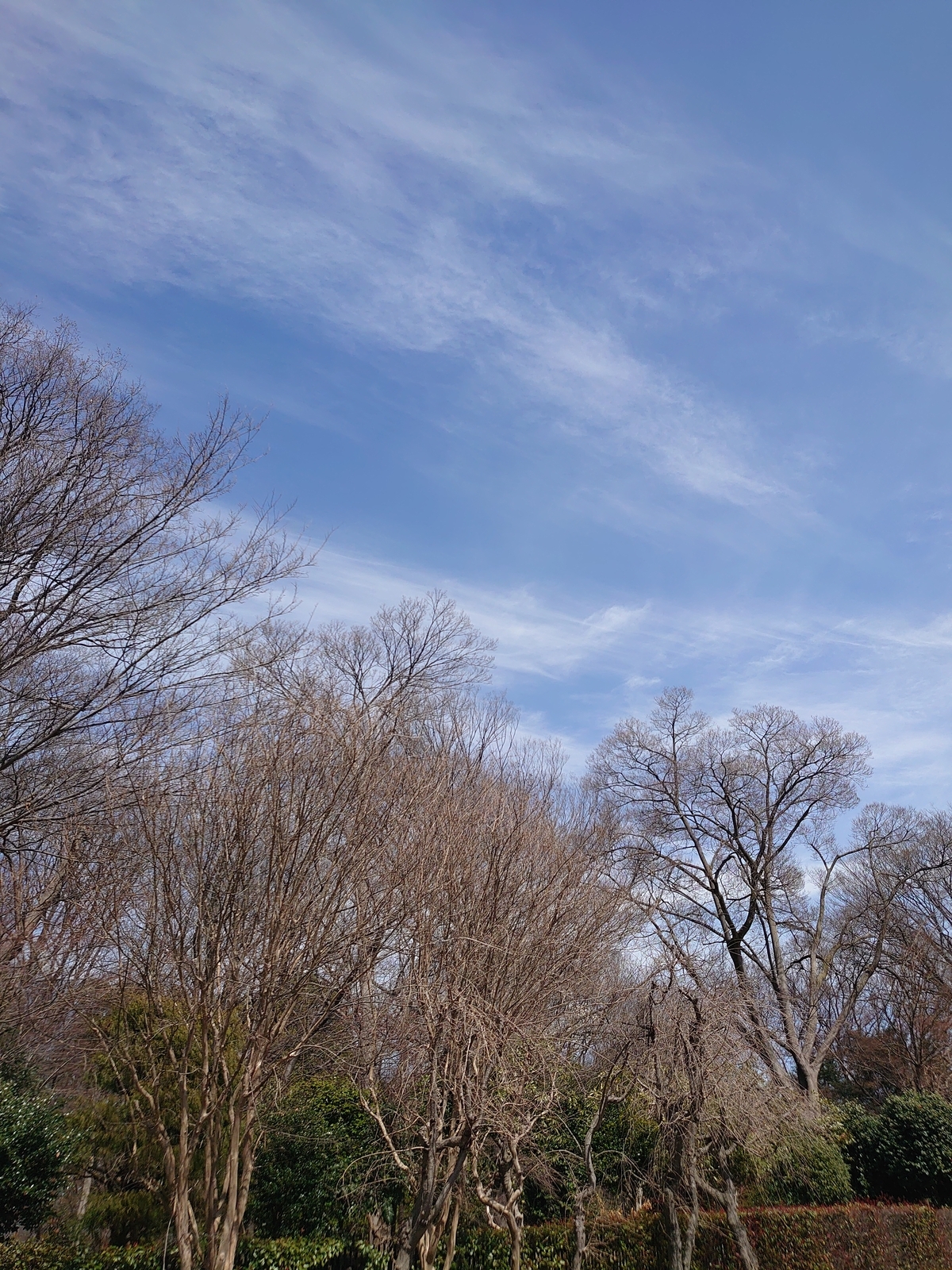 f:id:uribouwataru:20220319123452j:plain