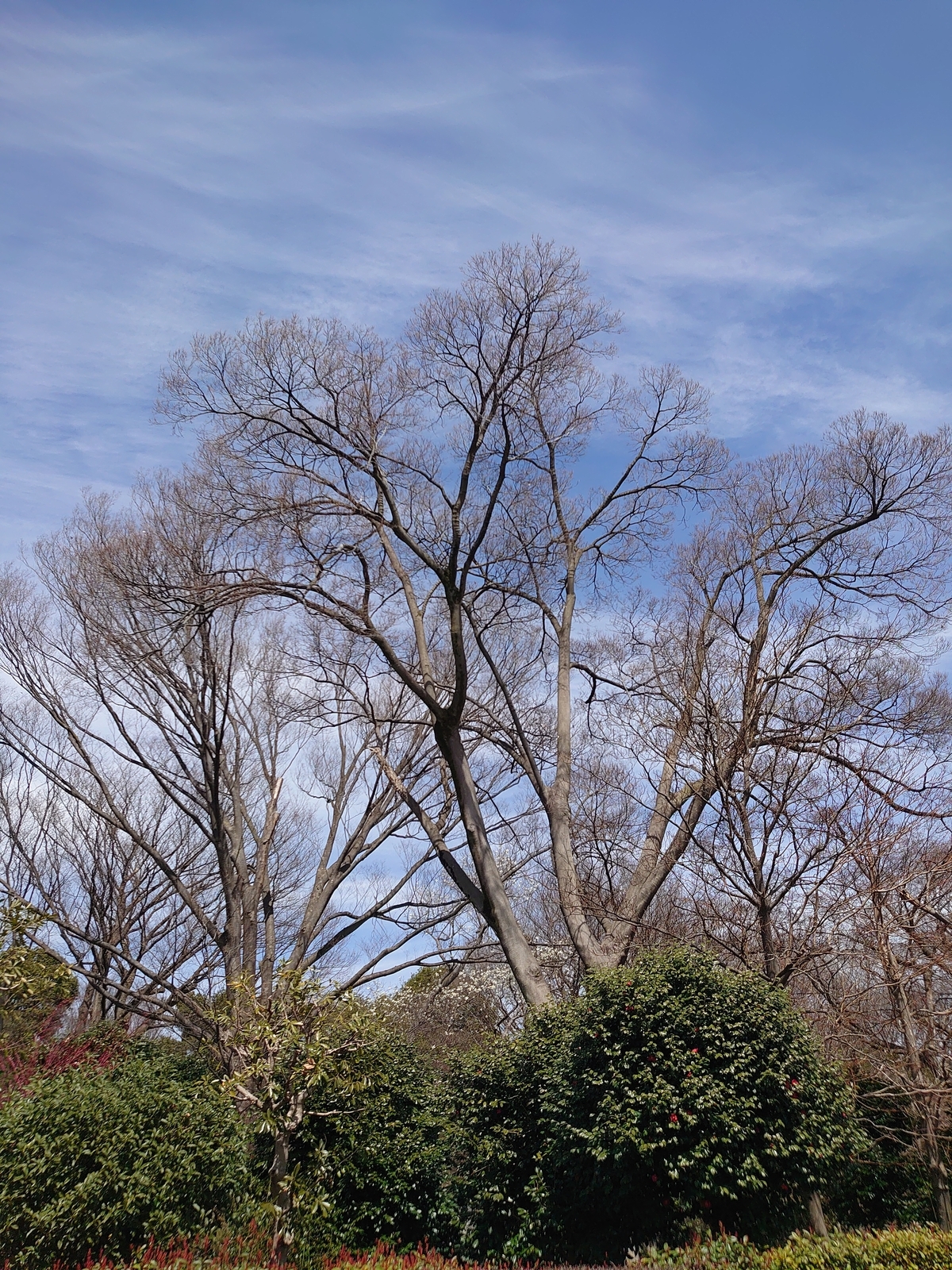 f:id:uribouwataru:20220319123504j:plain