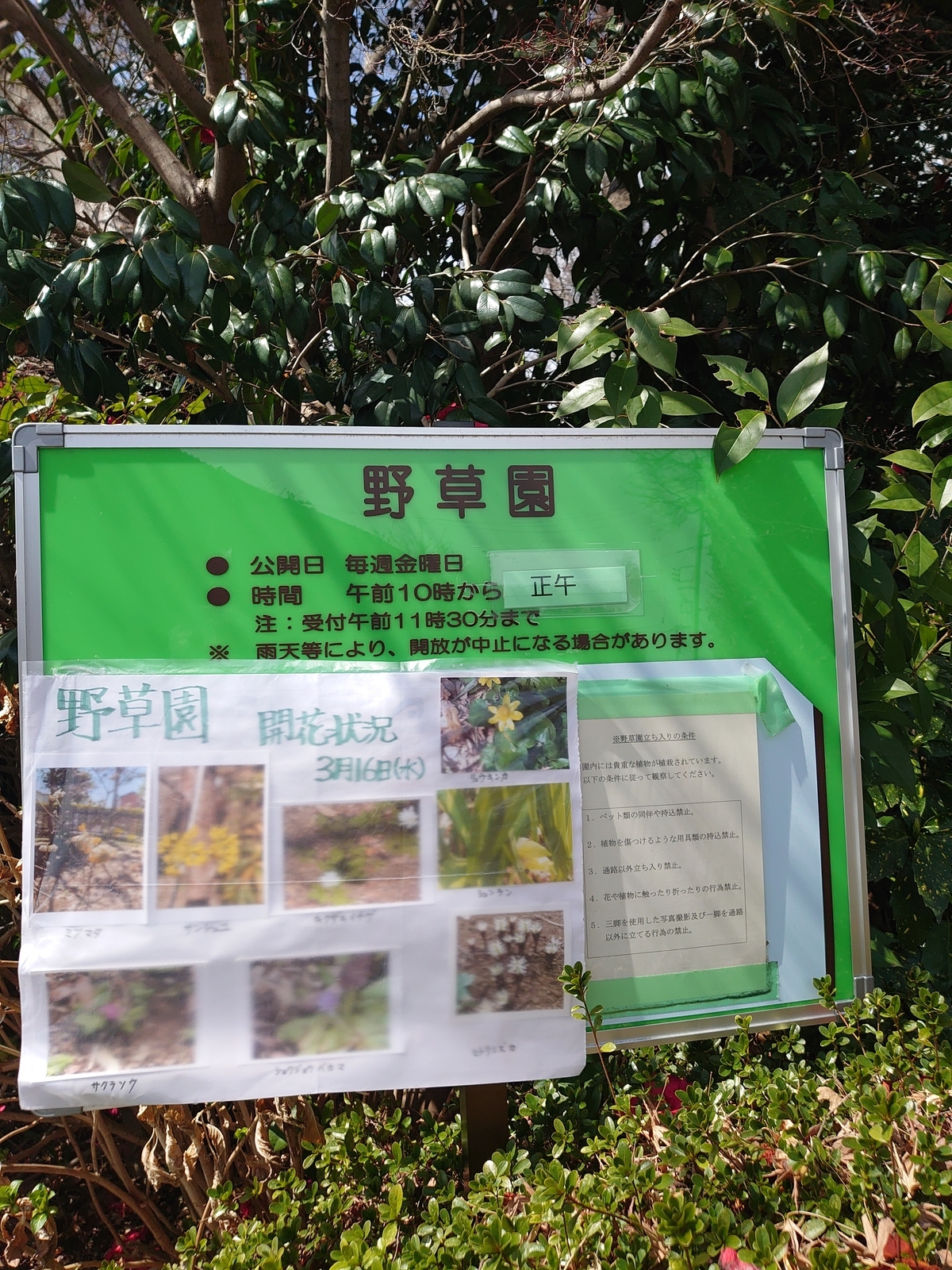 f:id:uribouwataru:20220319123516j:plain