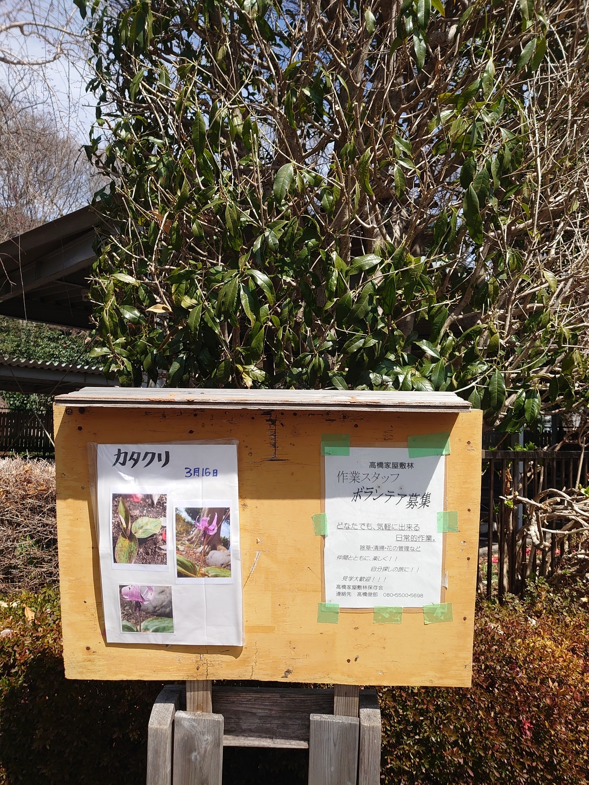 f:id:uribouwataru:20220319123532j:plain