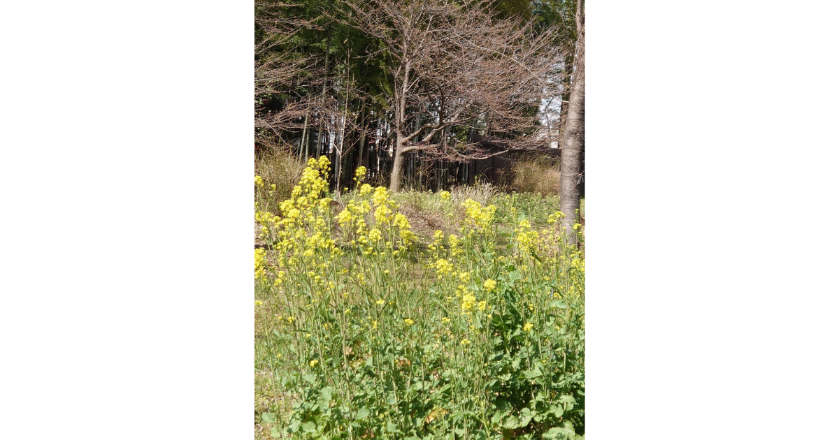 f:id:uribouwataru:20220319201443p:plain