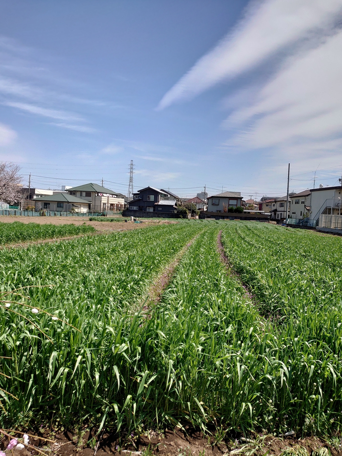 f:id:uribouwataru:20220328160753j:plain