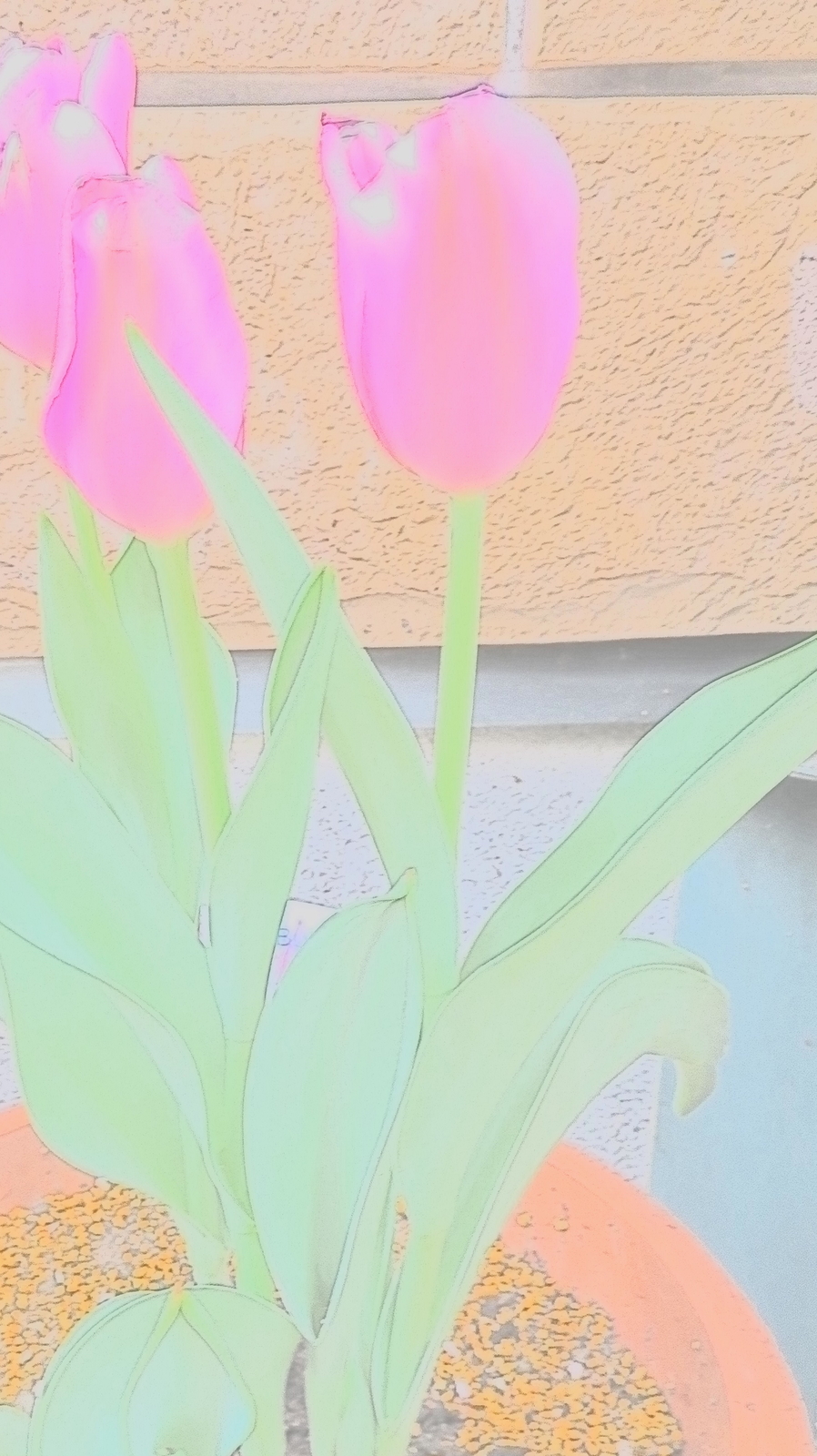 f:id:uribouwataru:20220416092005j:plain