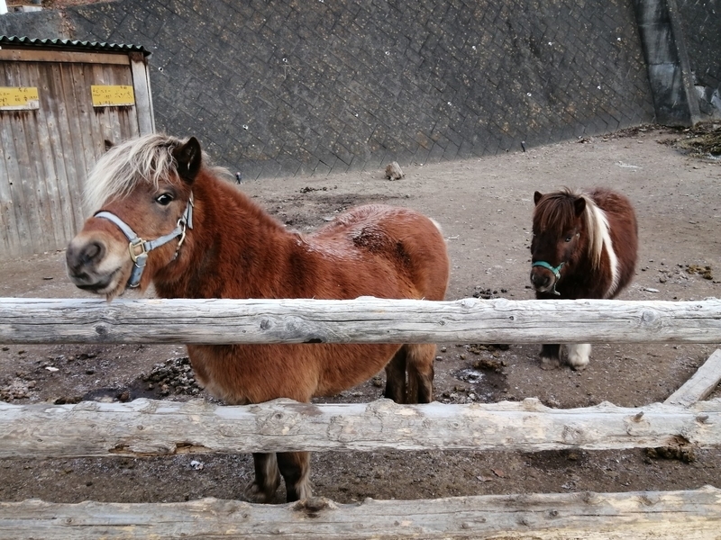 f:id:uriday:20211224114346j:plain