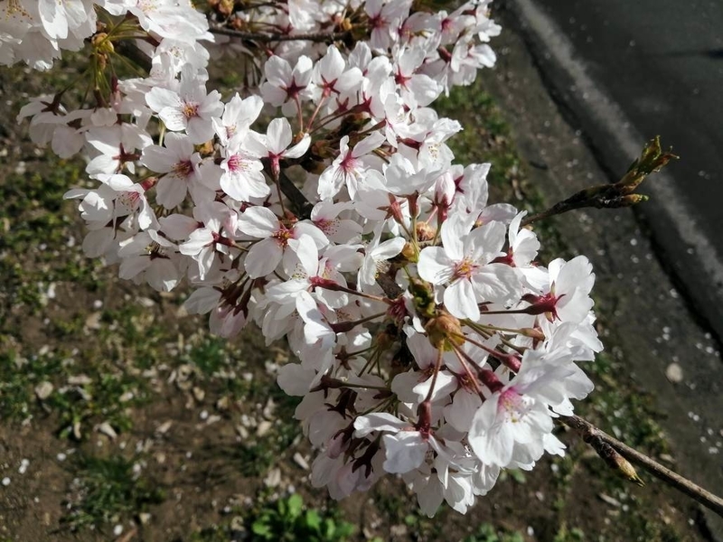 f:id:uriday:20220410115901j:plain