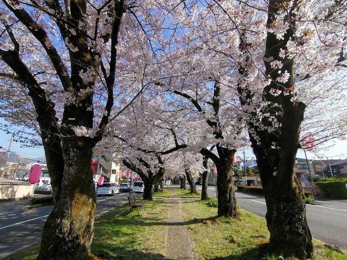 f:id:uriday:20220410115904j:plain