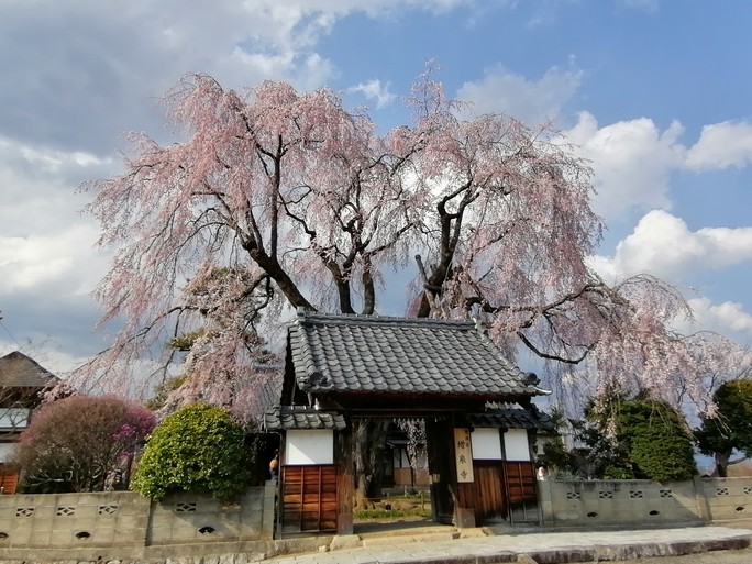 f:id:uriday:20220410115906j:plain