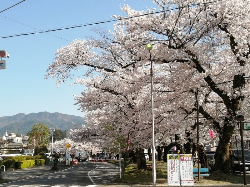 f:id:uriday:20220410115916j:plain