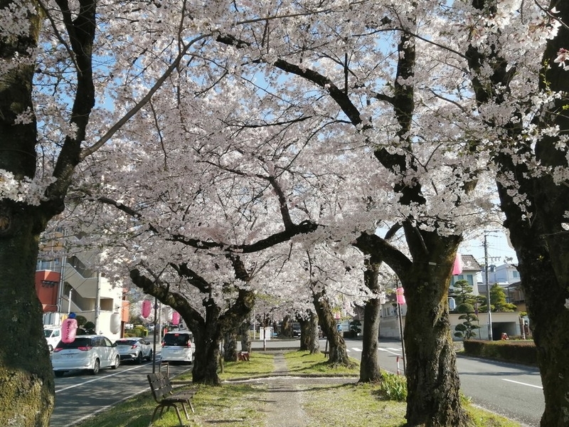 f:id:uriday:20220410115919j:plain