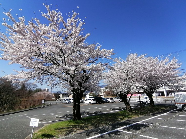 f:id:uriday:20220410115921j:plain