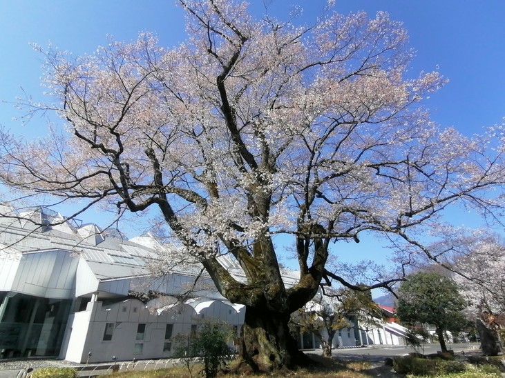 f:id:uriday:20220410115924j:plain