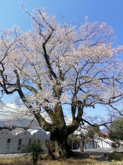 f:id:uriday:20220410115926j:plain