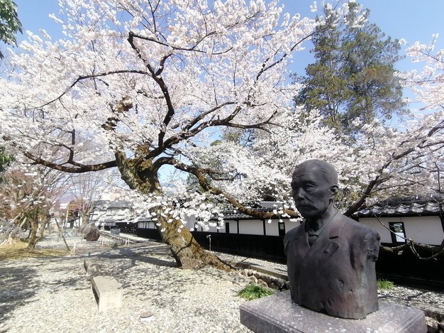 f:id:uriday:20220410115931j:plain