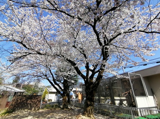 f:id:uriday:20220410115935j:plain