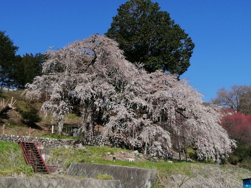 f:id:uriday:20220410115937j:plain