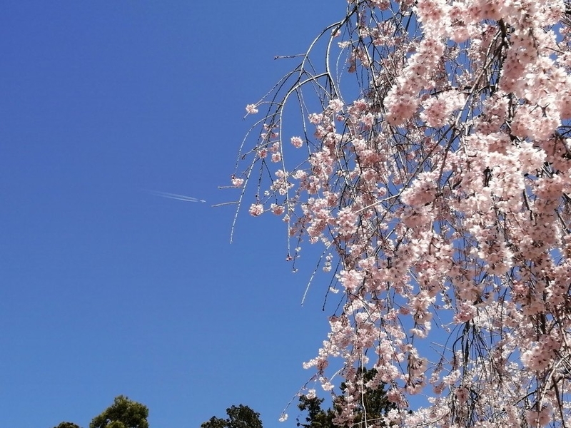 f:id:uriday:20220410120215j:plain